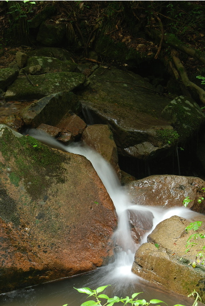 滝を降りながら2