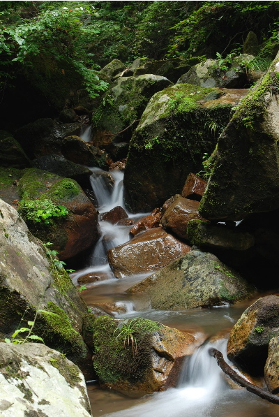 滝を降りながら1