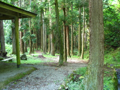 滝の周辺の様子3
