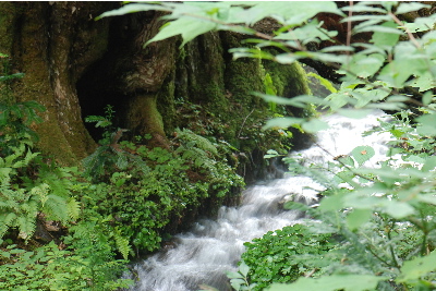 水量が多いような2