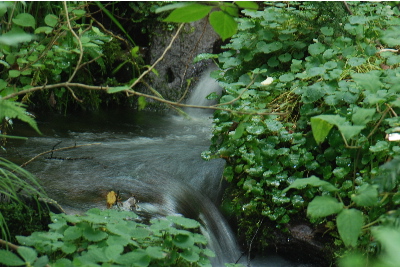 水量が多いような1