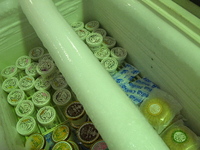 アイスクリーム