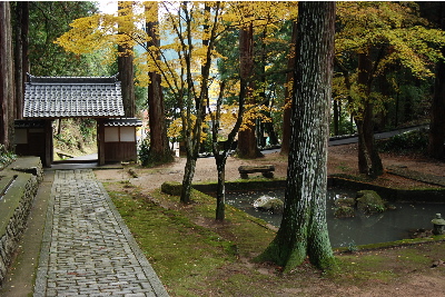 宗雲寺庭園3.jpg