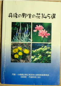 丹後の野生の花145選