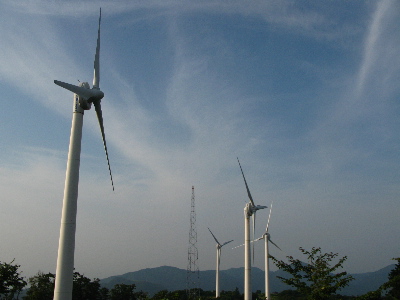 今日は帰ります