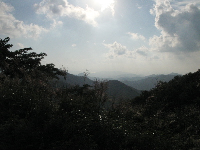 高いところから見渡す景色