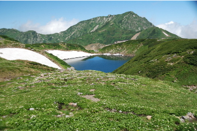 tateyama22845.jpg