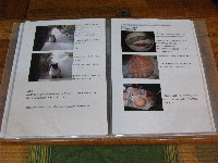 おやじさんのブログ