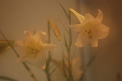 多重露出で撮影