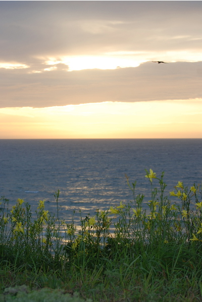 不思議に風も収まって
