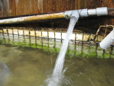 湧き水.jpg