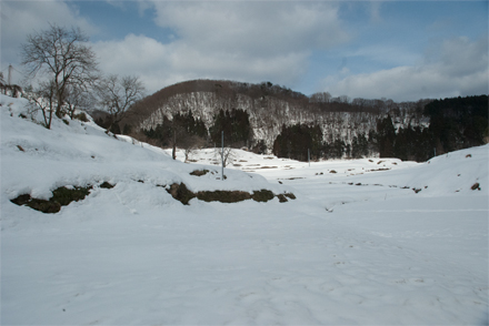 kamiseya26219m.jpg