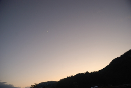 クミチャンスタンプ