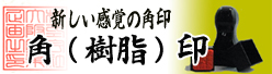 角(樹脂)印